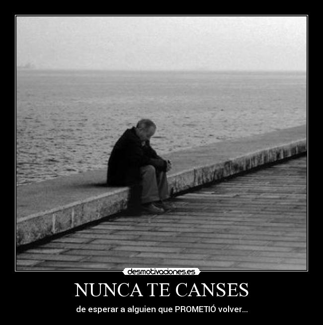 NUNCA TE CANSES -