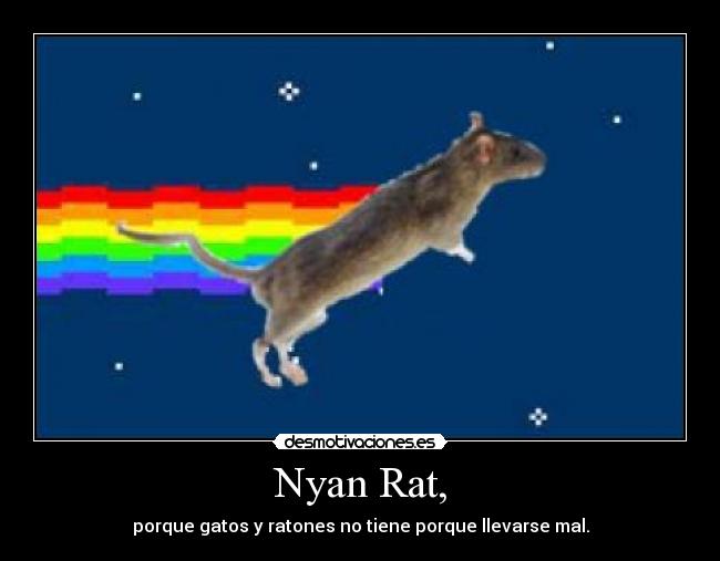 Nyan Rat, - porque gatos y ratones no tiene porque llevarse mal.