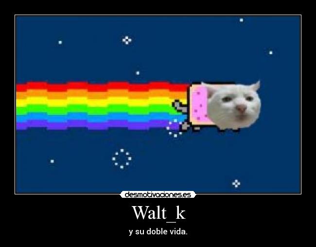 carteles nyan cat waltk doble vida desmotivaciones