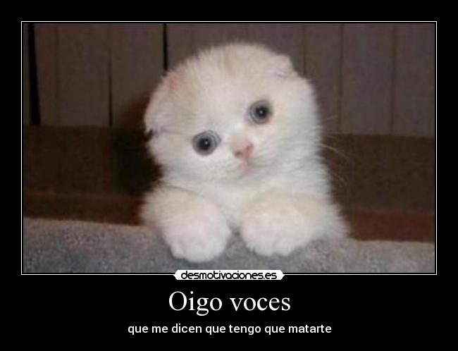 Oigo voces - 