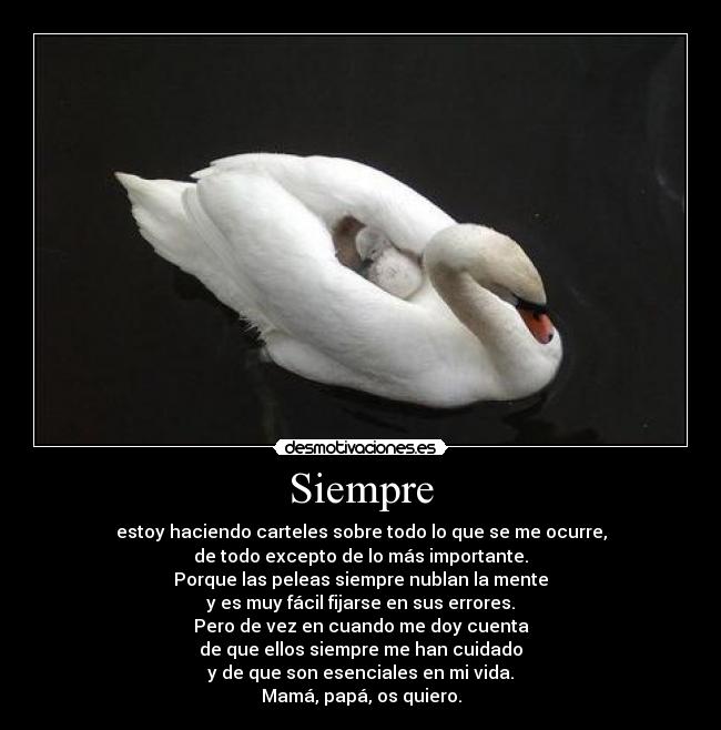 Siempre - estoy haciendo carteles sobre todo lo que se me ocurre,
de todo excepto de lo más importante.
Porque las peleas siempre nublan la mente
y es muy fácil fijarse en sus errores.
Pero de vez en cuando me doy cuenta
de que ellos siempre me han cuidado
y de que son esenciales en mi vida.
Mamá, papá, os quiero.