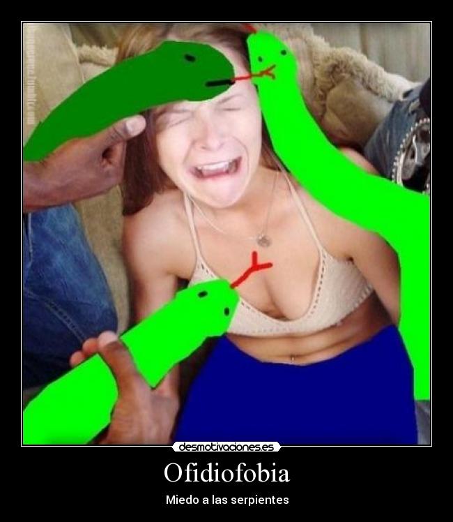 Ofidiofobia - Miedo a las serpientes