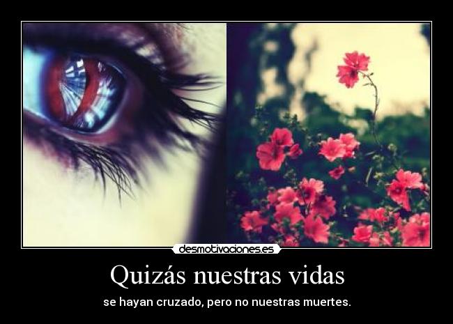 Quizás nuestras vidas - se hayan cruzado, pero no nuestras muertes.