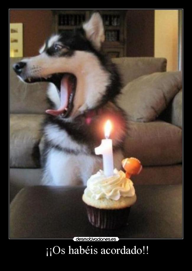 ¡¡Os habéis acordado!! - 