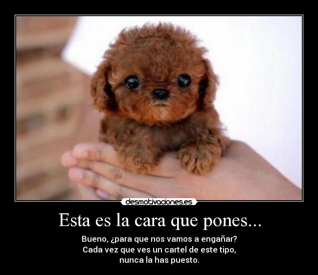 Esta es la cara que pones... -