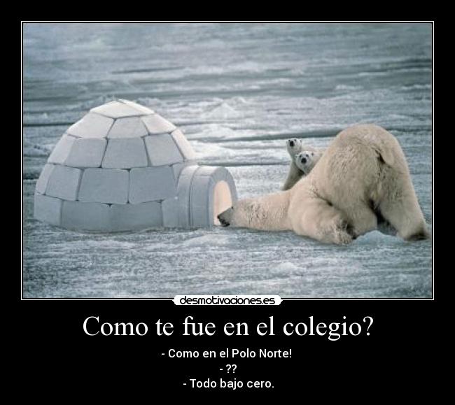 Como te fue en el colegio? - - Como en el Polo Norte!
- ??
- Todo bajo cero.