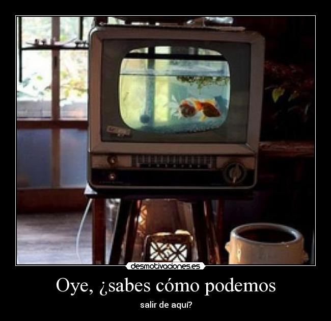 carteles peces desmotivaciones