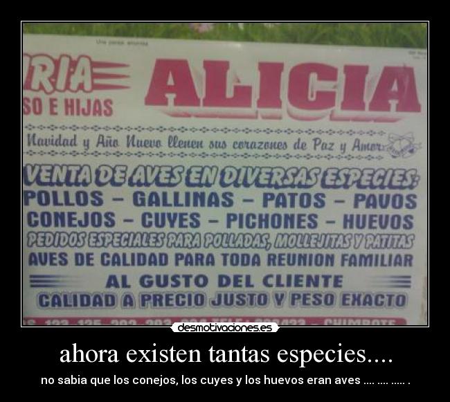 carteles conejos aves cuyes huevos especies existencia sabia desmotivaciones