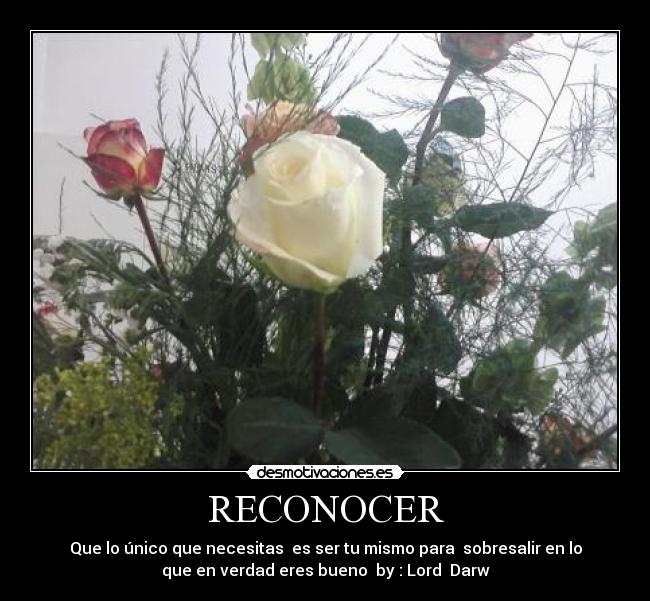 carteles lord darw desmotivaciones