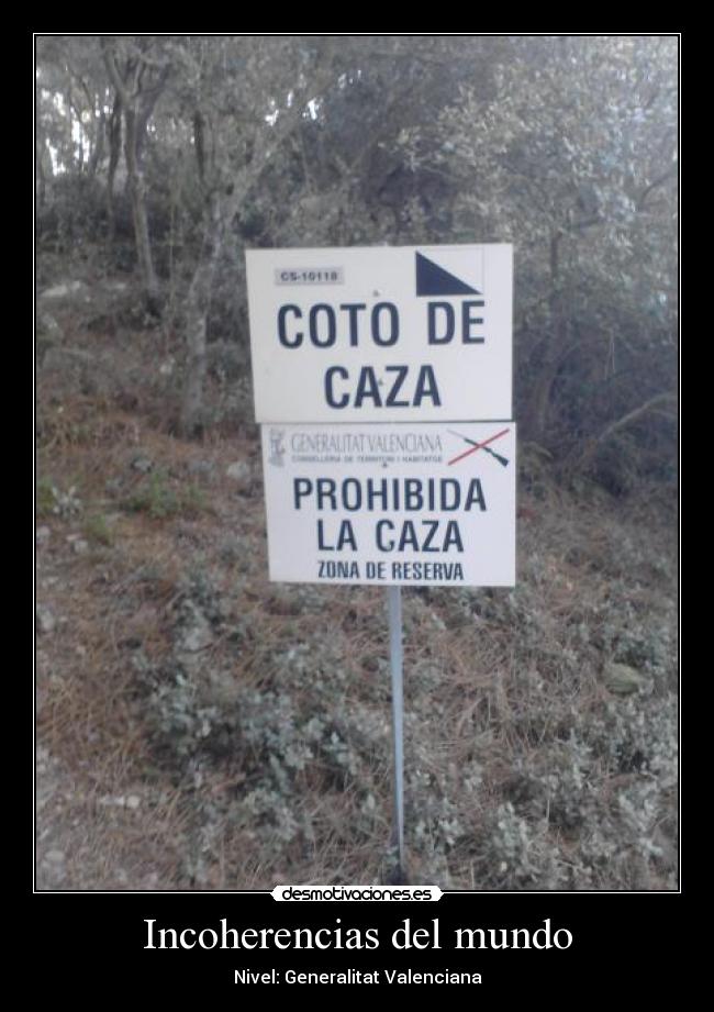 Incoherencias del mundo - Nivel: Generalitat Valenciana