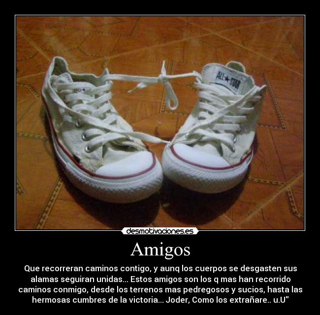 carteles amigos amigos zapatos desmotivaciones