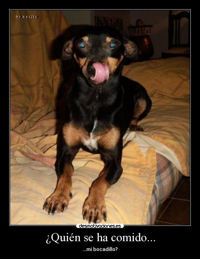 ¿Quién se ha comido... - ...mi bocadillo?