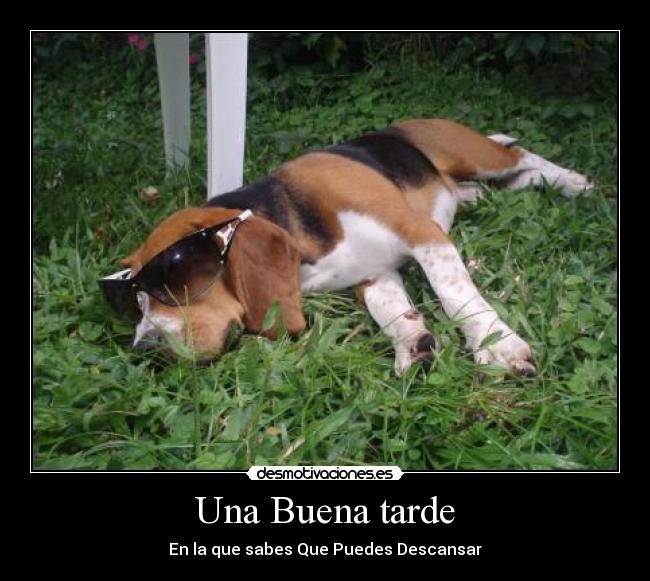 Una Buena tarde - En la que sabes Que Puedes Descansar