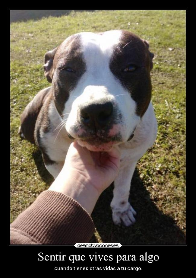 Sentir que vives para algo -