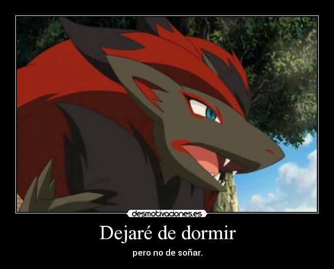 Dejaré de dormir -