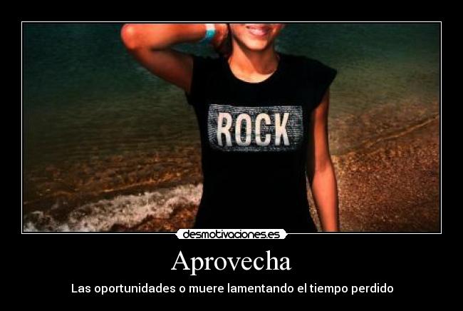 carteles primera desmotivaciones