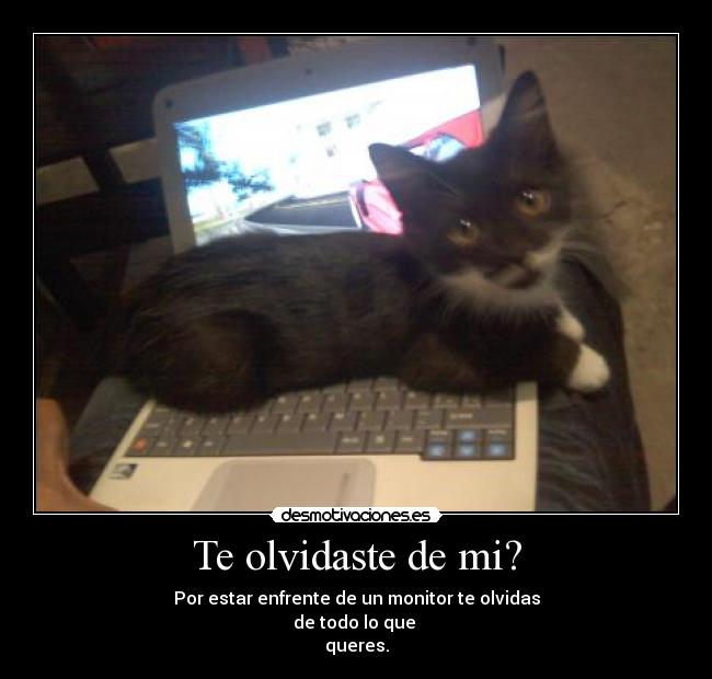 Te olvidaste de mi? -