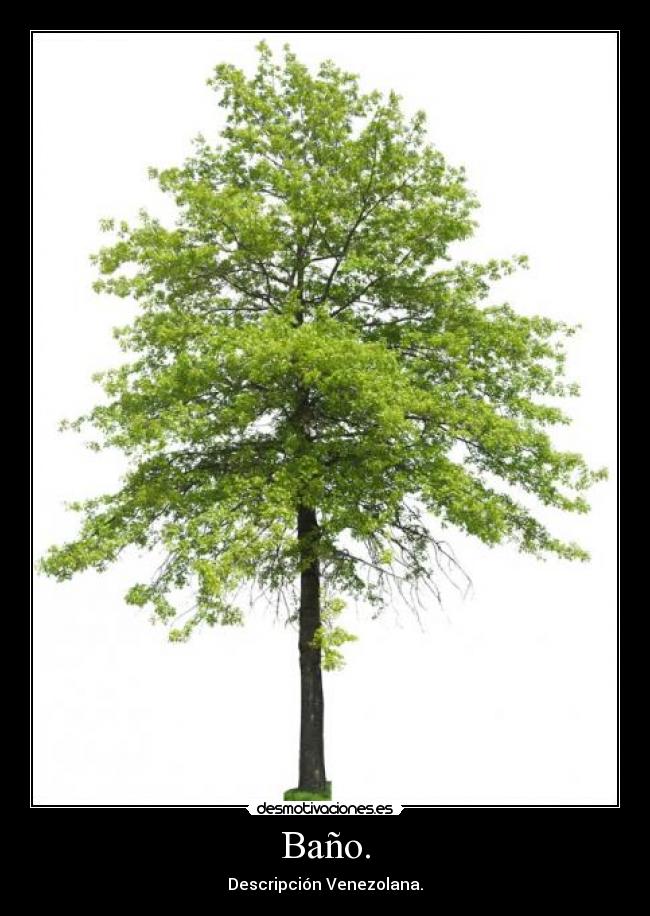 Baño. - Descripción Venezolana.