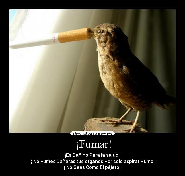 ¡Fumar! - 