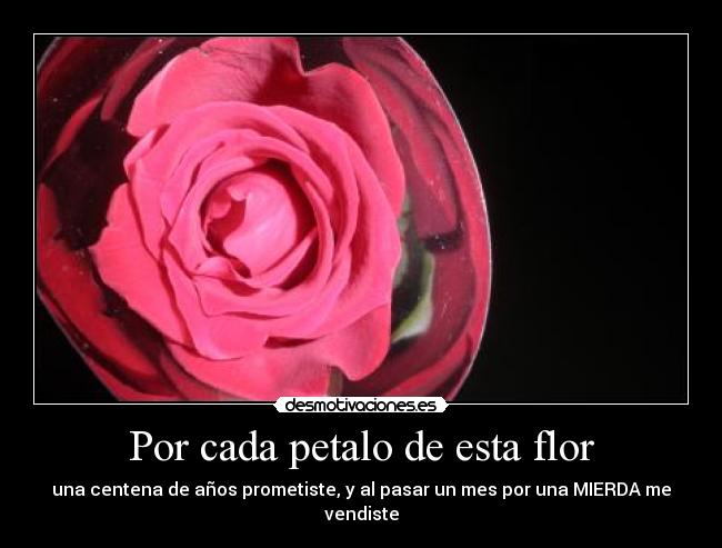 Por cada petalo de esta flor - una centena de años prometiste, y al pasar un mes por una MIERDA me vendiste