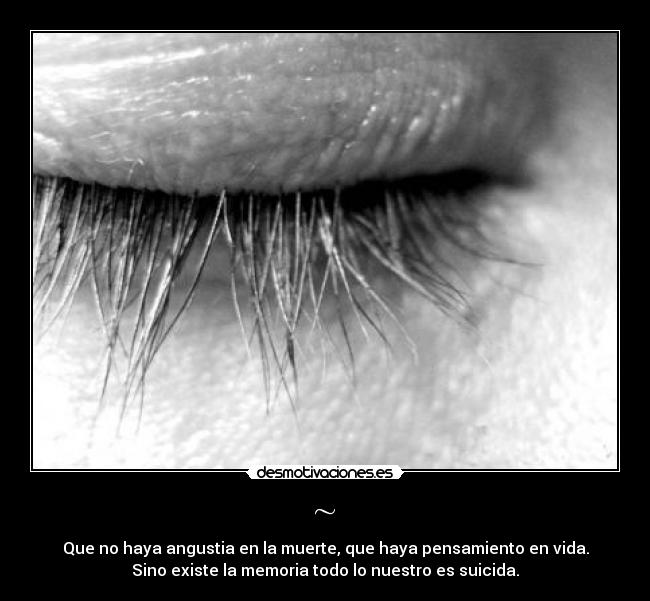 carteles quemado desmotivaciones