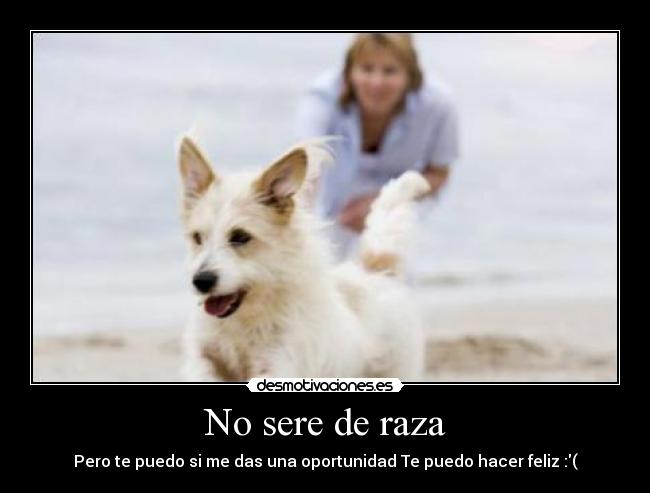 No sere de raza - Pero te puedo si me das una oportunidad Te puedo hacer feliz :(