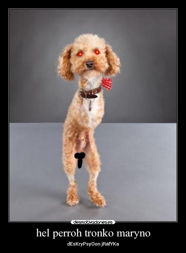 hel perroh tronko maryno - dEsKryPsyOon jRáfYKa