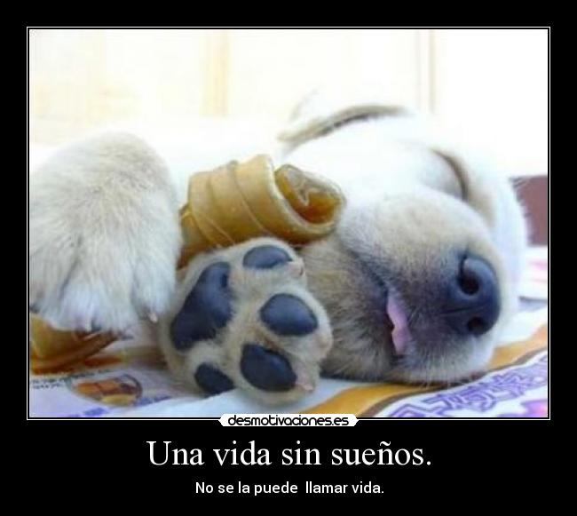 Una vida sin sueños. -