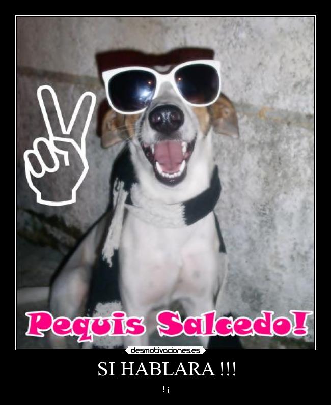 carteles trululu desmotivaciones