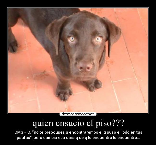 quien ensucio el piso??? - OMG = O, no te preocupes q encontraremos el q puso el lodo en tus
patitas, pero cambia esa cara q de q lo encuentro lo encuentro...