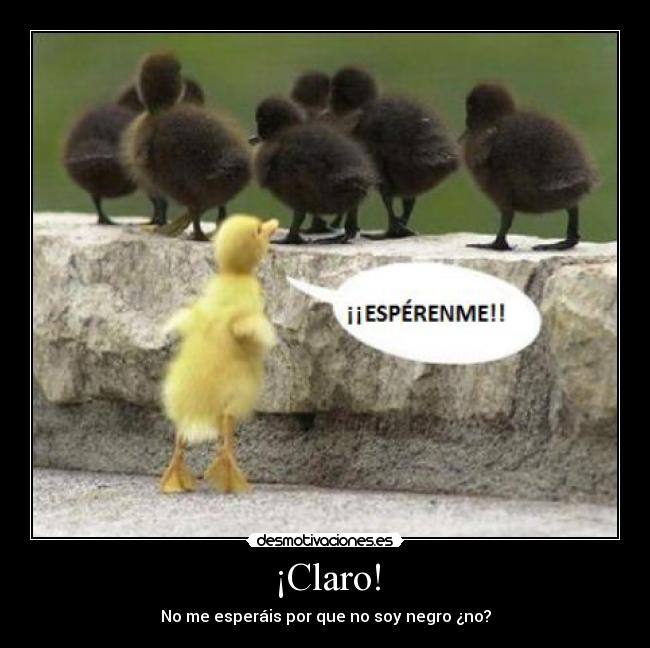 carteles mundo los animales hay racismo desmotivaciones