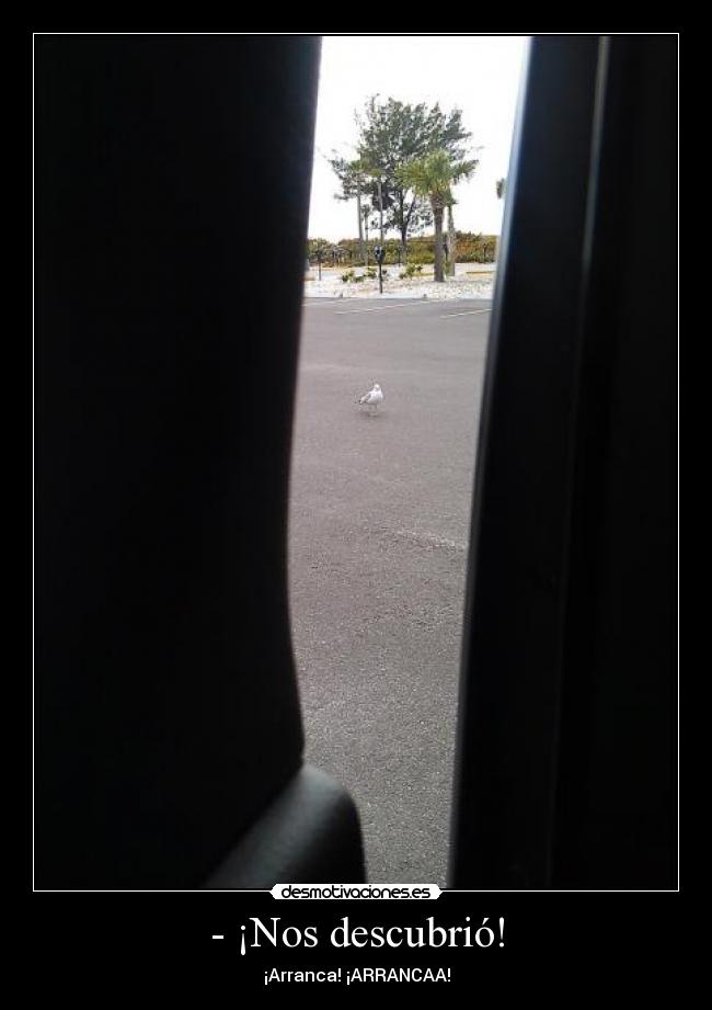 - ¡Nos descubrió! -