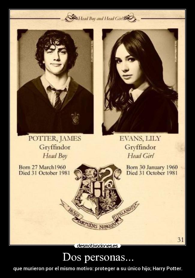 carteles james potter lily evans harry james potter desmotivaciones