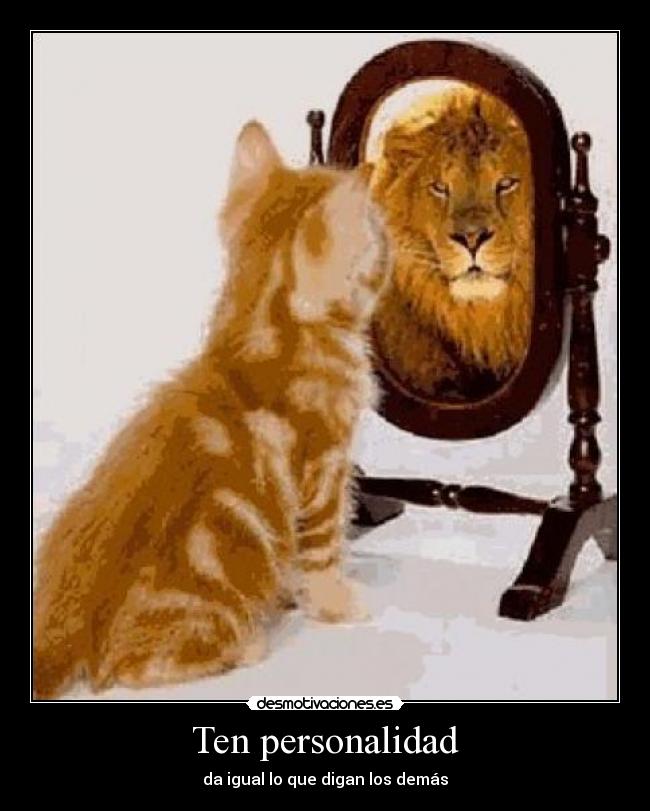 Ten personalidad -