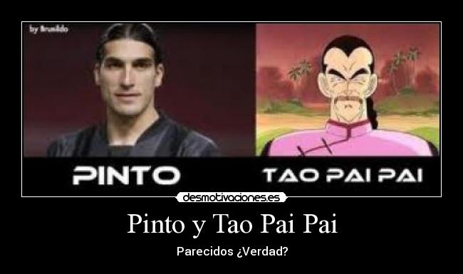 Pinto y Tao Pai Pai - Parecidos ¿Verdad?