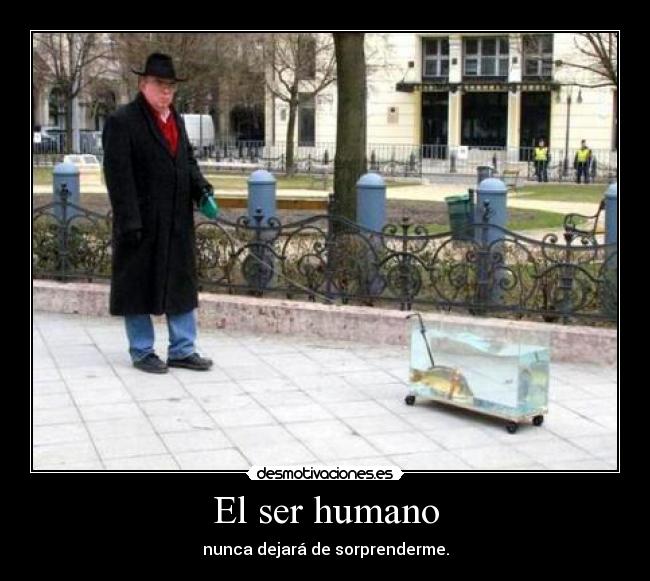 El ser humano - nunca dejará de sorprenderme.