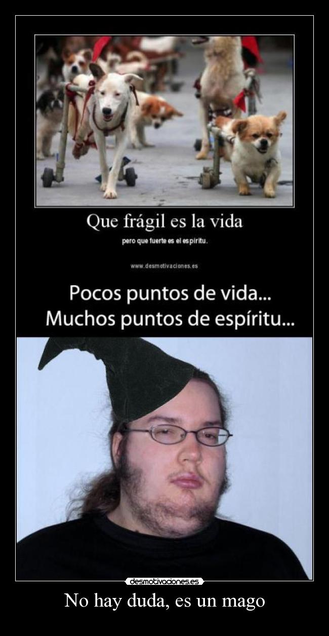 No hay duda, es un mago - 