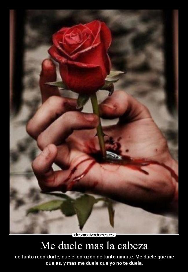 Me duele mas la cabeza - de tanto recordarte, que el corazón de tanto amarte. Me duele que me
duelas, y mas me duele que yo no te duela.