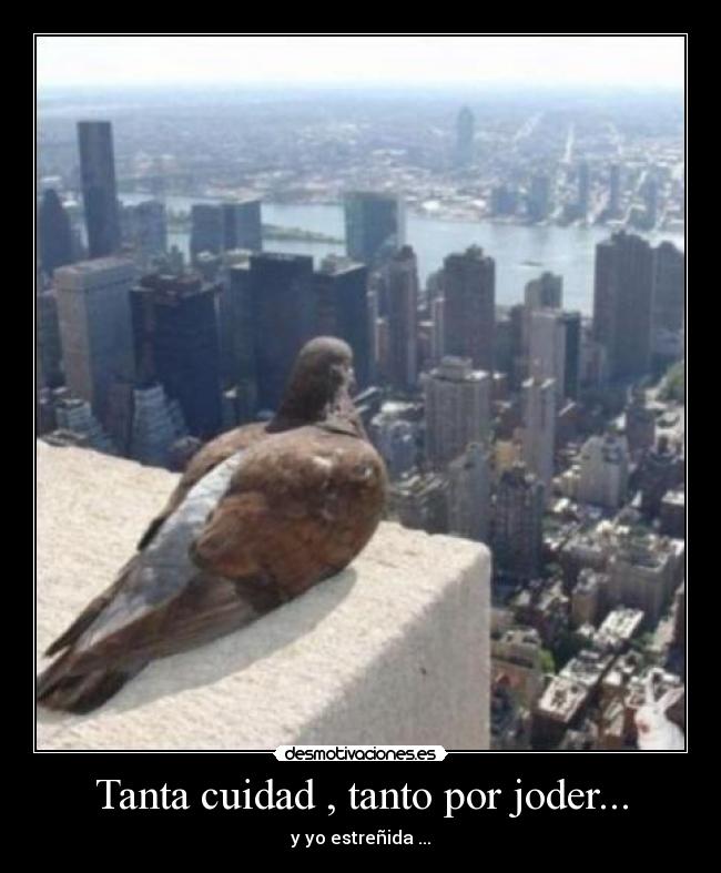 Tanta cuidad , tanto por joder... -