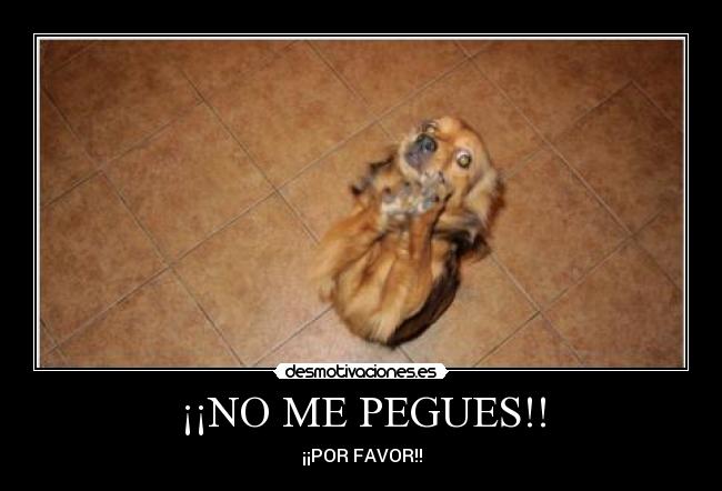 ¡¡NO ME PEGUES!! - ¡¡POR FAVOR!!