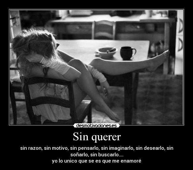 Sin querer - 