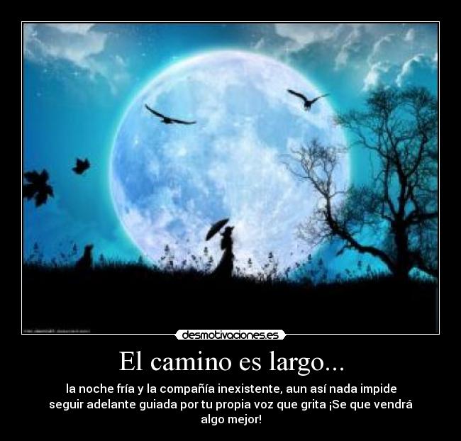 El camino es largo... -