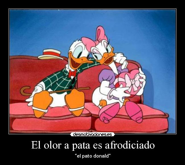 El olor a pata es afrodiciado - el pato donald