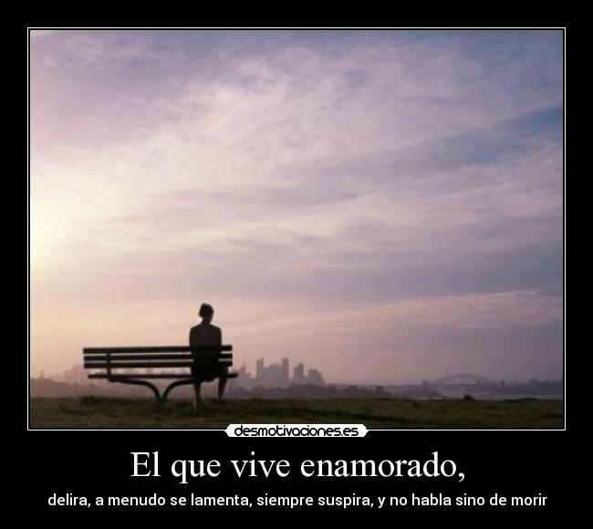 El que vive enamorado, - delira, a menudo se lamenta, siempre suspira, y no habla sino de morir