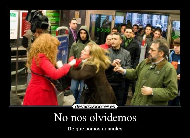 No nos olvidemos - 