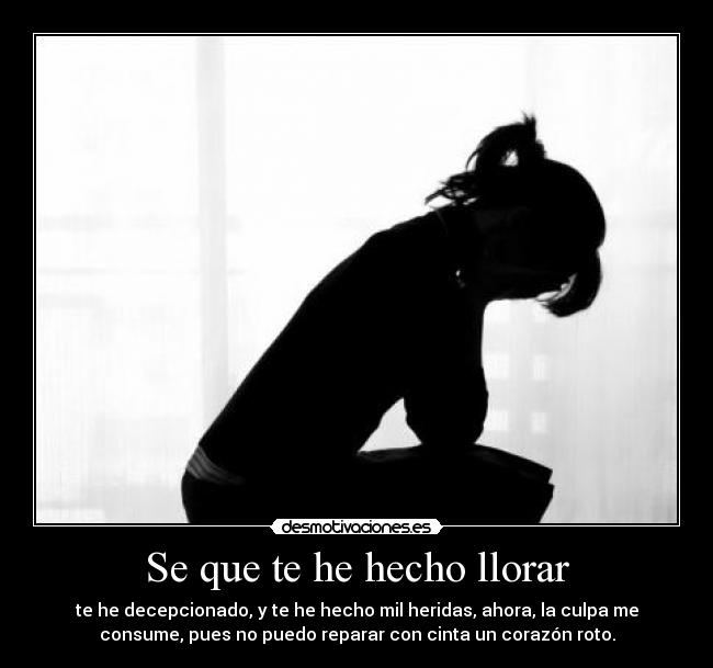 carteles llorar perdon desmotivaciones