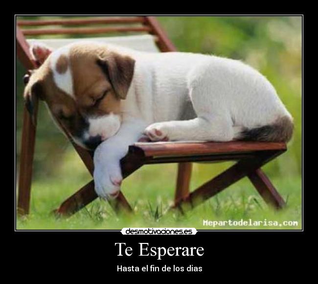 Te Esperare - 