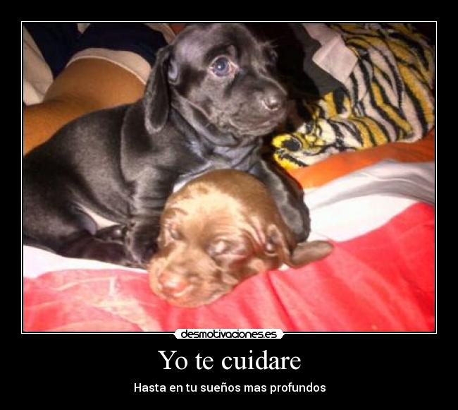 Yo te cuidare -