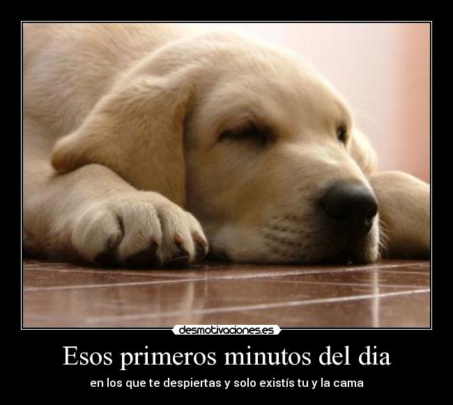 Esos primeros minutos del dia - en los que te despiertas y solo existís tu y la cama