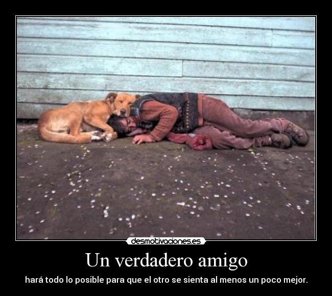 Un verdadero amigo -
